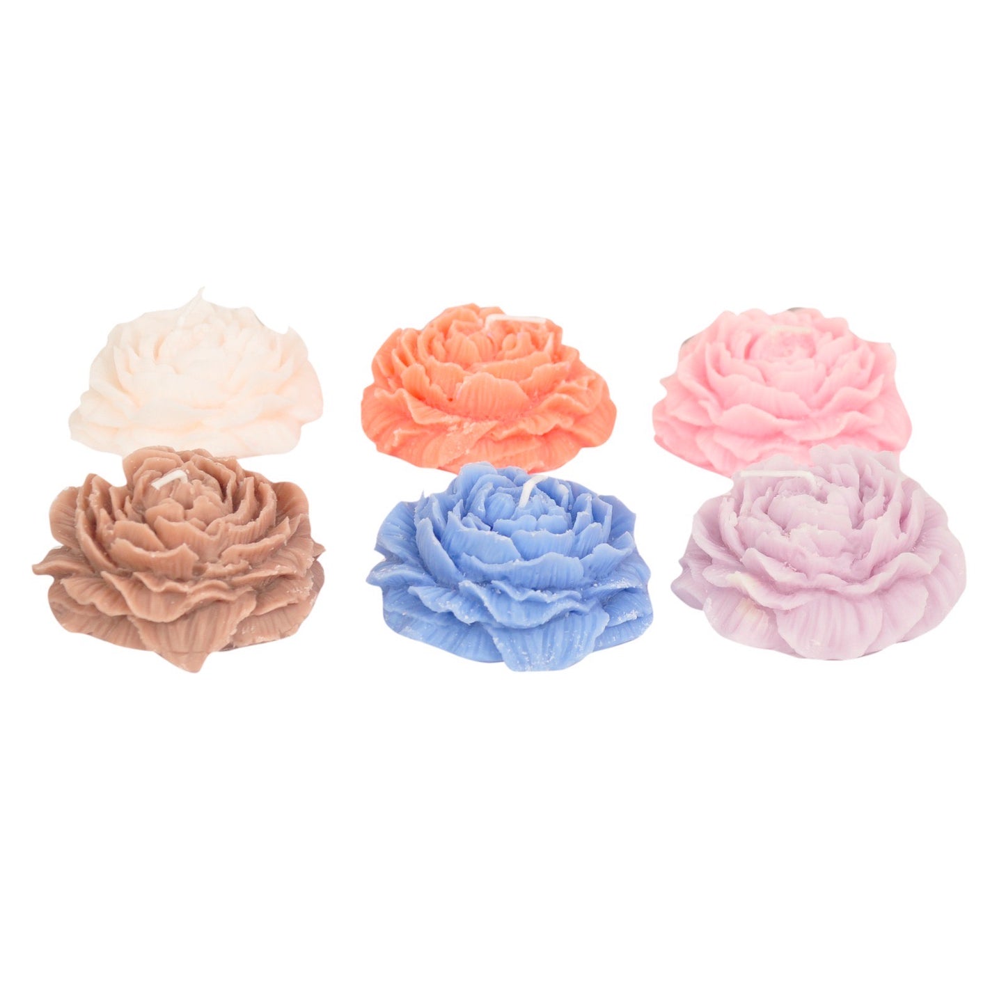 وردة دمشقية متفتحة